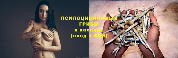 дмт Горнозаводск