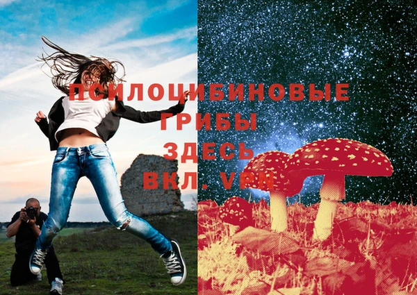 каннабис Горно-Алтайск