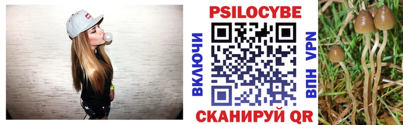 это какой сайт  mega сайт  Зеленоградск  Псилоцибиновые грибы Cubensis 