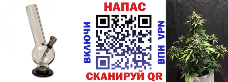 Шишки марихуана план  закладка  Зеленоградск 